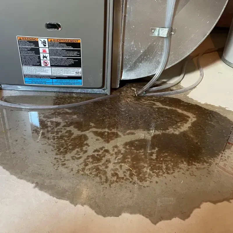 Appliance Leak Cleanup in West Englewood, IL